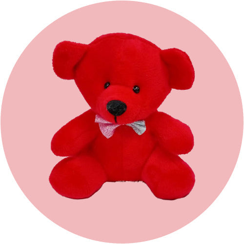 Teddy Day Gifts