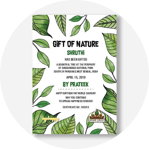 Social Gifts for Wife