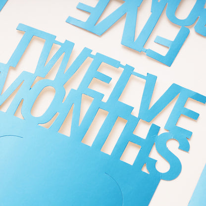Twelve Months 1st Birthday Photo Banner