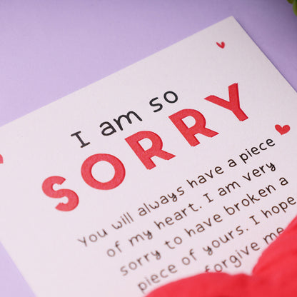 Sorry Pocket Hug