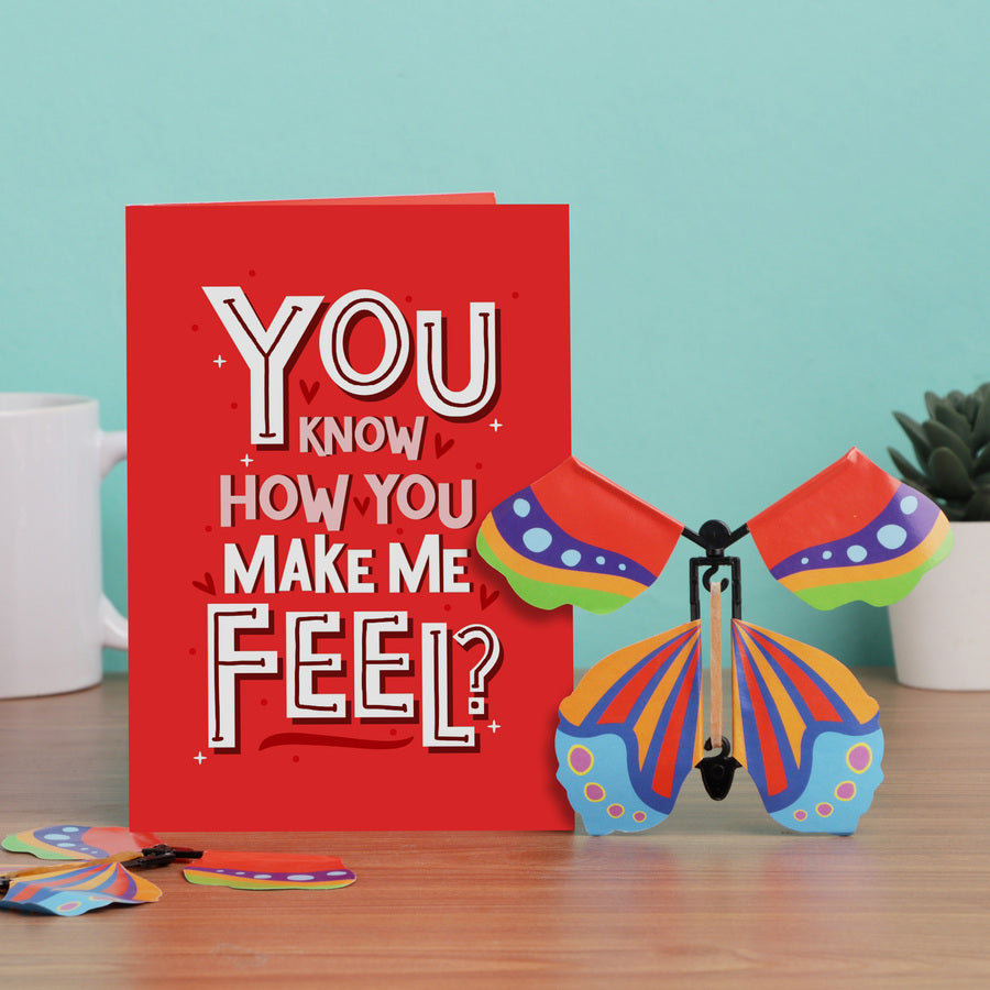 Aww-dorable Butterfly Card Combo