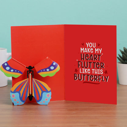 Aww-dorable Butterfly Card Combo