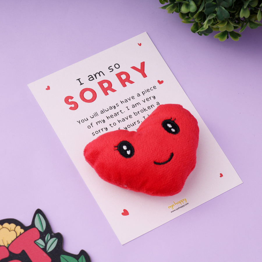 Sorry Pocket Hug