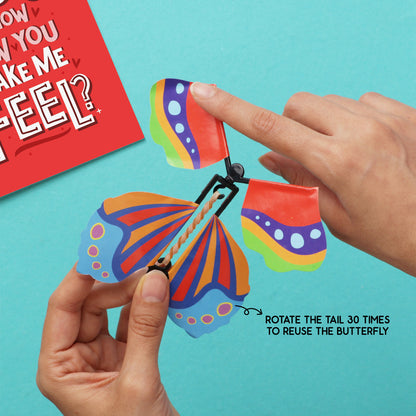 Aww-dorable Butterfly Card Combo