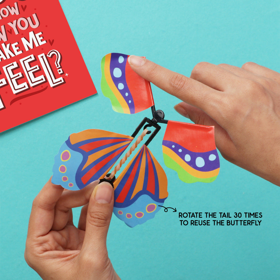 Aww-dorable Butterfly Card Combo