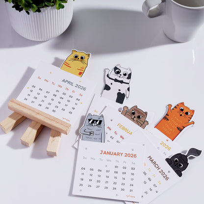 Cat Calendar Combo
