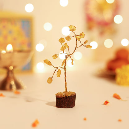 Wealth and Prosperity Hamper