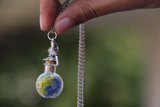 Vial of Dreams