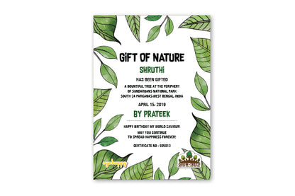 Plant a tree gift