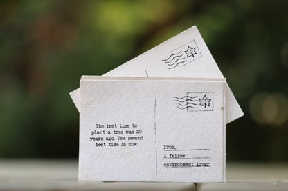 Little Green Box