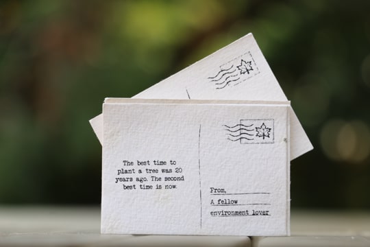 Little Green Box