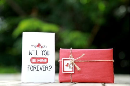 Proposal gift for girlfriend